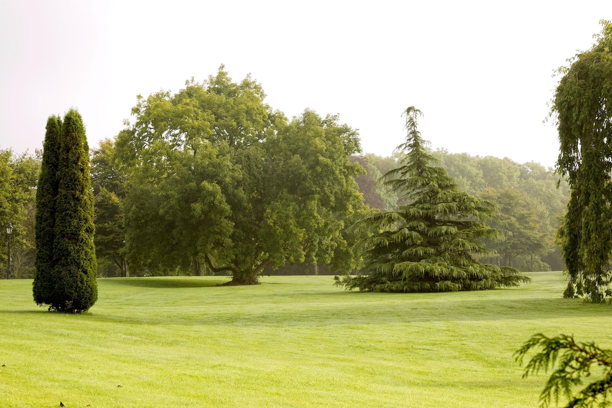 Moyvalley Hotel & Golf Resort Exterior photo